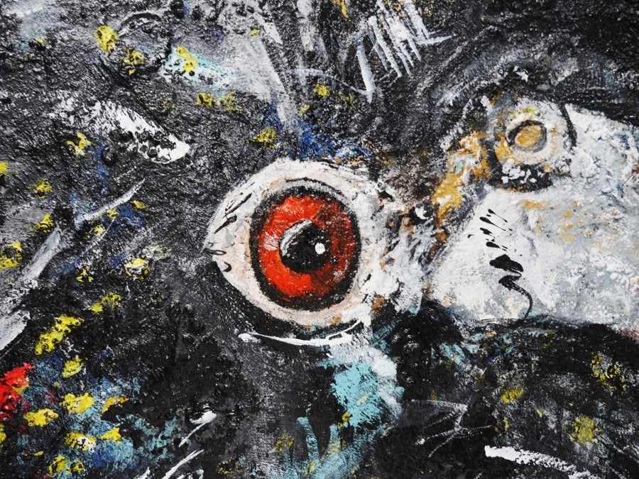 Be Inspired! Abstract Realism Black Cockatoo (SOLD)-abstract realism-[Franko Artist]-[Gold Coast]-[Brisbane]-[Huge]-Franklin Art Studio