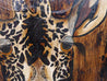 Be Inspired! Abstract Realism Giraffe (SOLD)-Animals-Franko-[franko_artist]-[Art]-[interior_design]-Franklin Art Studio