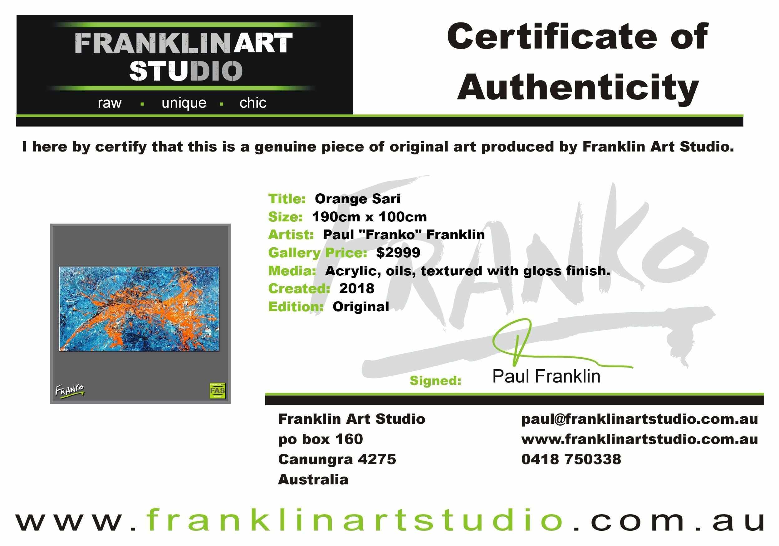 Colour Rush 190cm x 100cm Colourful Abstract Painting (SOLD)-Abstract-[Franko_Artist]-[The_Block]-[Dream_Homes]-[ideas]-[Grand_Designs]-[Art_Lover]-Franklin Art Studio