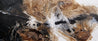 Honeycomb Ascent 240cm x 100cm Rust Black White Textured Abstract Painting (SOLD)-Abstract-Franko-[Franko]-[Australia_Art]-[Art_Lovers_Australia]-Franklin Art Studio