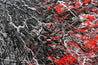 Orgasmic 120cm x 120cm Red Black White Textured Abstract Painting-Abstract-Franko-[franko_art]-[beautiful_Art]-[The_Block]-Franklin Art Studio