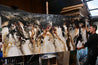 Pangaea 270cm x 120cm Black Oxide Rust Textured Abstract Painting-Abstract-Franko-[franko_artist]-[Art]-[interior_design]-Franklin Art Studio