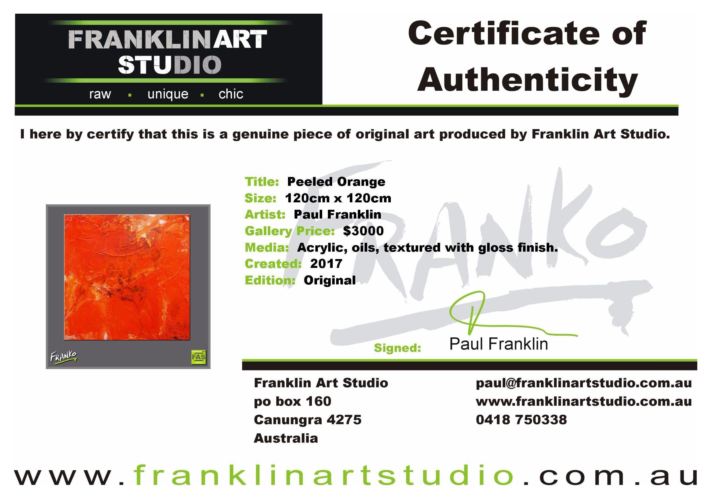 Peeled Orange 120cm x 120cm Orange Abstract Painting (SOLD)-abstract-Franko-[franko_art]-[beautiful_Art]-[The_Block]-Franklin Art Studio
