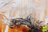 Rusted Superstar 190cm x 100cm White Brown Textured Abstract Painting (SOLD)-Abstract-[Franko]-[Artist]-[Australia]-[Painting]-Franklin Art Studio