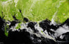 Sublime Time 160cm x 100cm Black Green Textured Abstract Painting (SOLD)-Abstract-Franko-[Franko]-[Australia_Art]-[Art_Lovers_Australia]-Franklin Art Studio