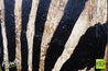 Tahir Joy (Pure) 140cm x 100cm African Zebra Painting (SOLD)-Animals-[Franko]-[Artist]-[Australia]-[Painting]-Franklin Art Studio