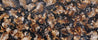 Vanilla Licorice 240cm x 100cm Black Rust Textured Abstract Painting (SOLD)-Abstract-Franko-[Franko]-[Australia_Art]-[Art_Lovers_Australia]-Franklin Art Studio